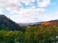 国立大学法人 大阪教育大学