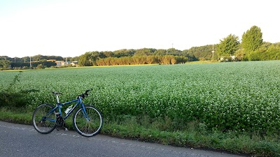 ボーキ佐藤 北関東支店