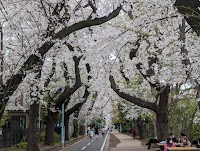 小平グリーンロード