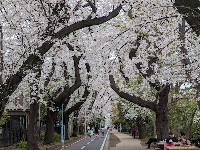 小平グリーンロード