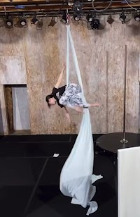 藝術工場◉カナリヤ条約