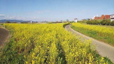 太間地区 駐車場