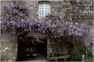Photo n°9 de Conserverie Courtin Locronan à Locronan (Conserverie)
