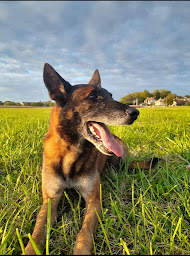 Photo n°3 de Marie Thébault - Ostéopathe pour animaux à Montpellier (Ostéopathe)