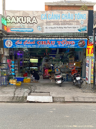 Phụ kiện hồ cá cảnh Châu Tống