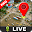 Street View Live Maps, Global Satellite World Maps Download on Windows