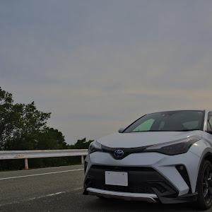 C-HR ZYX11