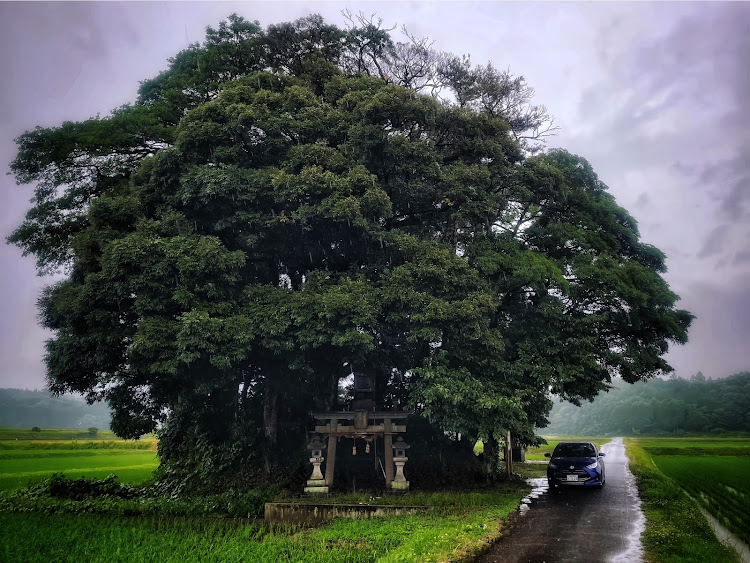 ヤリスのあなたの推し撥水コートは？・梅雨入り・梅雨の晴れ間・梅雨・ずぶ濡れの愛車に関するカスタム事例の投稿画像2枚目