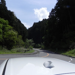 スイフトスポーツ ZC33S
