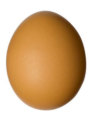 Image result for 1 egg