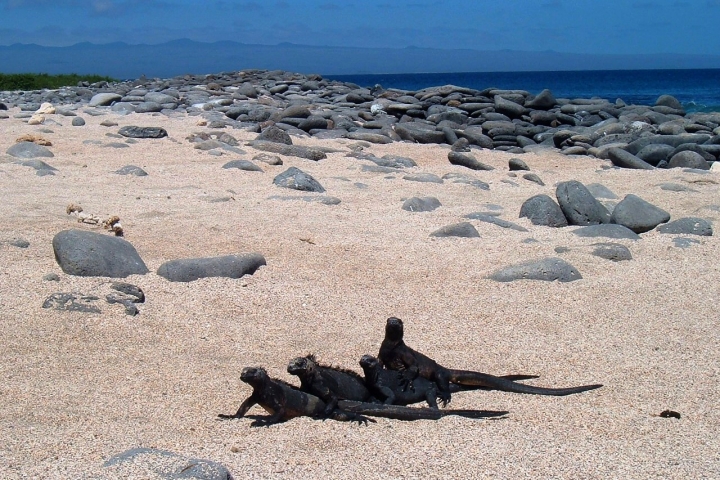 Spiaggia d'altri tempi... di federicofadiga