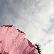 花露農場 Flower Home