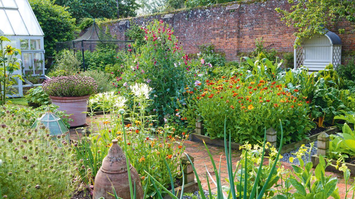 Kitchen gardens – 10 steps to grow veg in your backyard | Real Homes