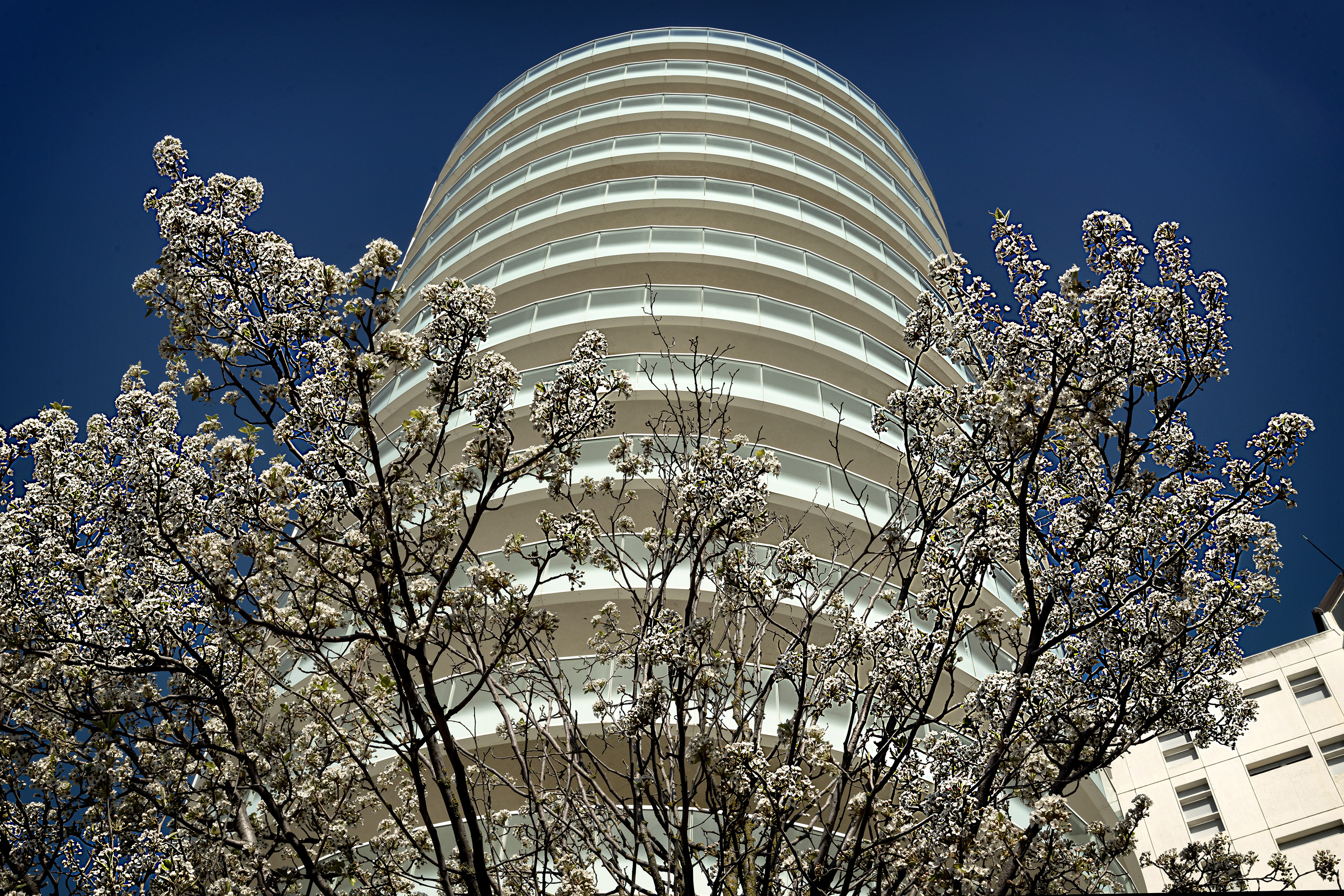 Primavera a Lignano di NinoZx21