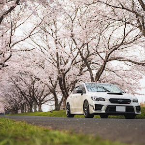 WRX STI VAB