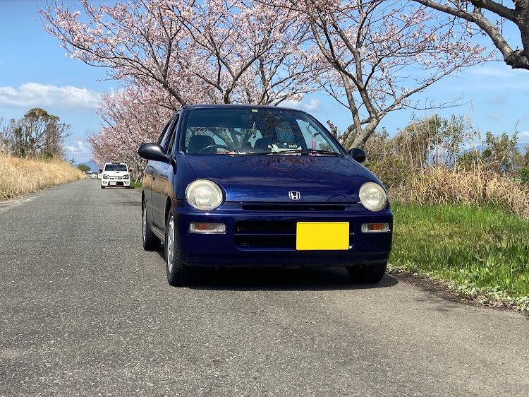 トゥデイのおはあり・初参加・シフトノブ交換・さくら🌸・クーチューンに関するカスタム事例の投稿画像8枚目