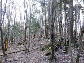 程なくして奈良代山との分岐（右へ）