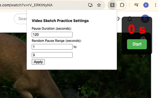 Sketch Every Video!