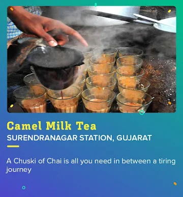 Camel Milk Tea at Surendranagar Station for that tea addiction