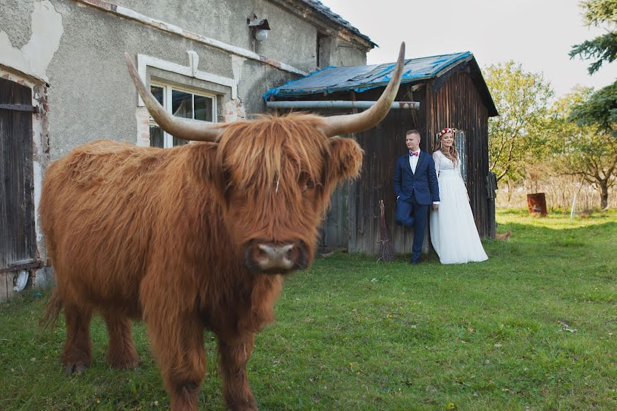 Fotógrafo de casamento Oktawia Guzy (sweetdreamstudio). Foto de 16 de janeiro 2018