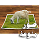 صور منوعة