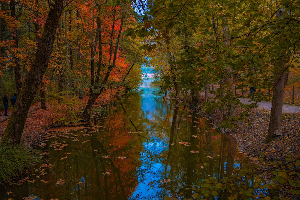 Colori della natura di claudio_