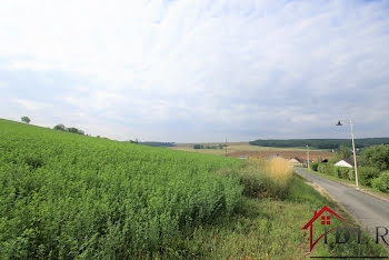 terrain à Saligny (89)