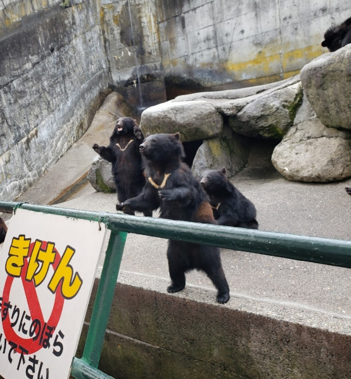Nボックスカスタムの関東輩会、東海輩会、東北輩会、関西輩会、蝦夷輩会・告知を見て興味出たそこのあなたへ！・輩会SUPER☆MEETING・GWの思い出・SO魂UL❤宜しくお願い致します❤に関するカスタム事例の投稿画像8枚目
