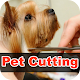 Download Pet Grooming Tutorials For PC Windows and Mac 1.0