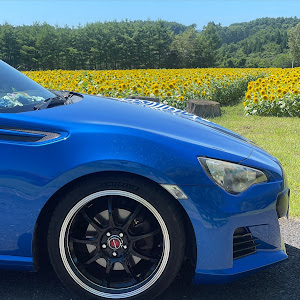 BRZ ZC6