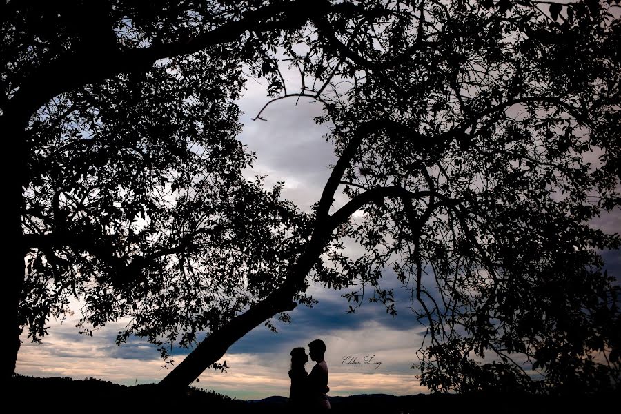 Fotógrafo de casamento Cleber Luiz (cleberluiza). Foto de 11 de maio 2020