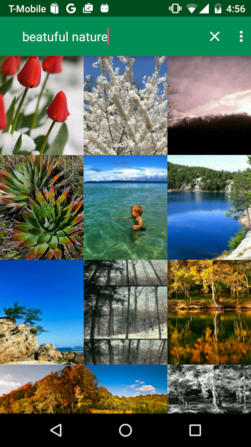 Android application Image Search from Flickr screenshort