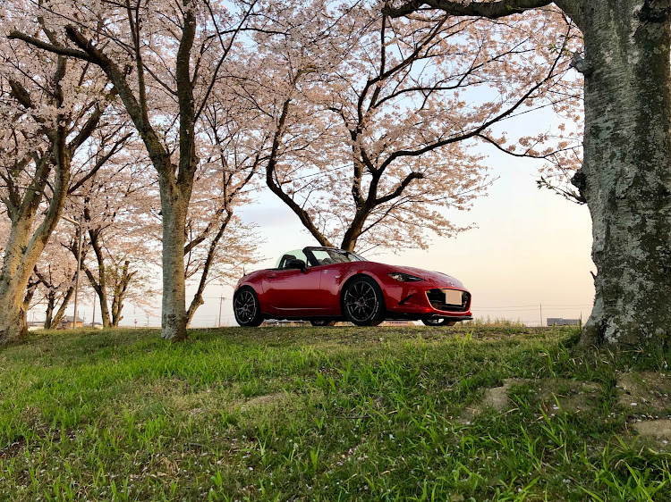ロードスターのたけさんが投稿したカスタム事例の投稿画像1枚目
