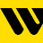 Western Union Send Money icon