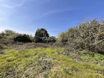 terrain à batir à Le bois-plage-en-re (17)