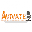 Avivate Download on Windows