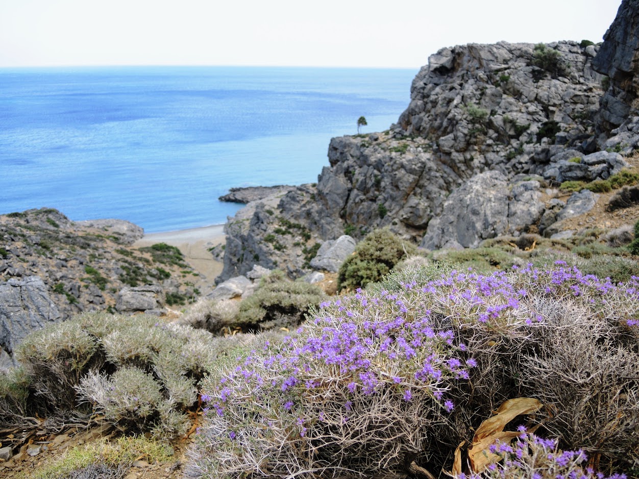 Критские тропы. Май 2017
