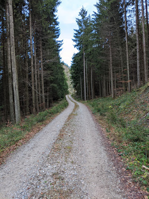 Ascending gravel road, it goes to the Blomberghaus