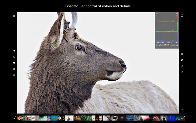 Polarr Photo Editor chrome extension