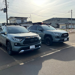 RAV4 MXAA54