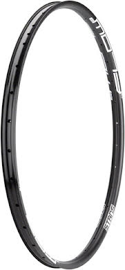 Stans No Tubes Flow EX3 Rim - 29", Disc, 32H alternate image 0