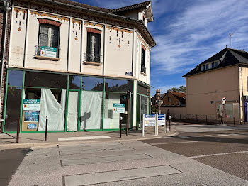 locaux professionnels à Migennes (89)