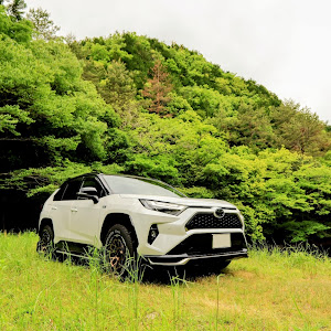 RAV4 AXAP54