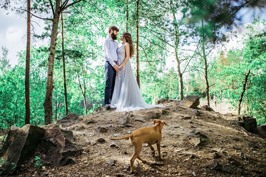 Fotograful de nuntă Alona Zaporozhec (alenazaporozhets). Fotografia din 17 august 2017