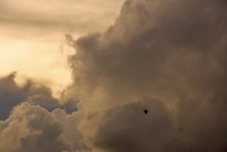 ビートのKIINAI愛車・青い空、白い雲…・羽ばたく鳥…・JPF origin・JPF 黄昏会に関するカスタム事例の投稿画像6枚目