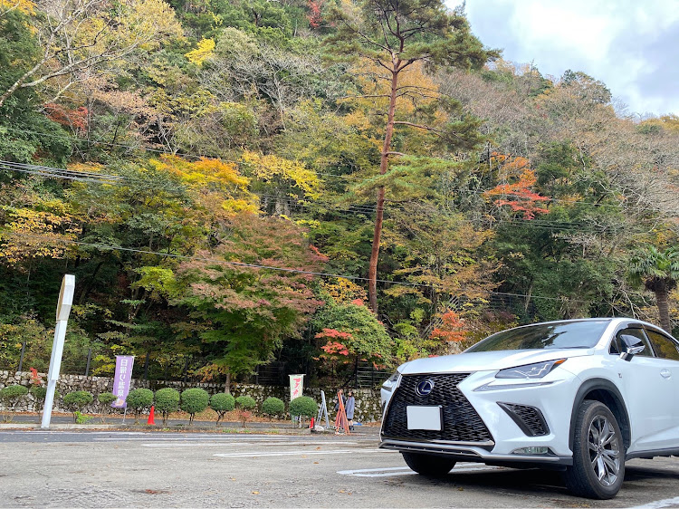 NXの紅葉ドライブ・紅葉と愛車・奥津渓に関するカスタム事例の投稿画像1枚目