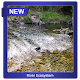Download Learning about River Ecosystem For PC Windows and Mac 5.1