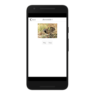 Sound of birds HD - náhled