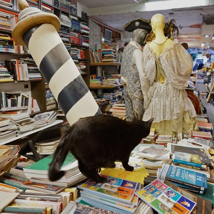 Libreria Acqua Alta, a livraria inundada de Veneza