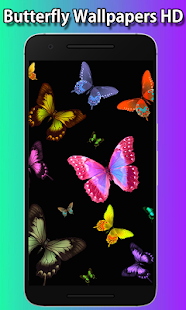 Butterfly Wallpapers HD(圖6)-速報App